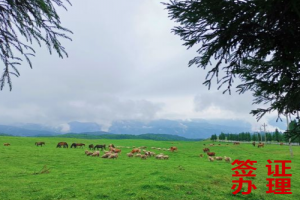 澳大利亚个人旅游签证1年多次·常规办理·澳大利亚个人旅游电子签证